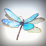 Dragonfly Large
